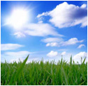 © Lucky Dragon | fotolia.com